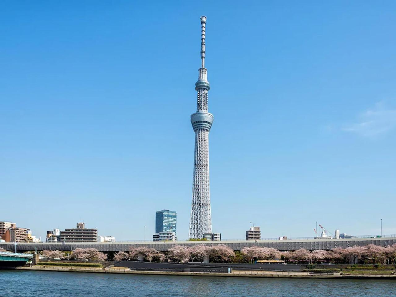 Anshin Oyado Akihabara Denkigaiten Токио Экстерьер фото